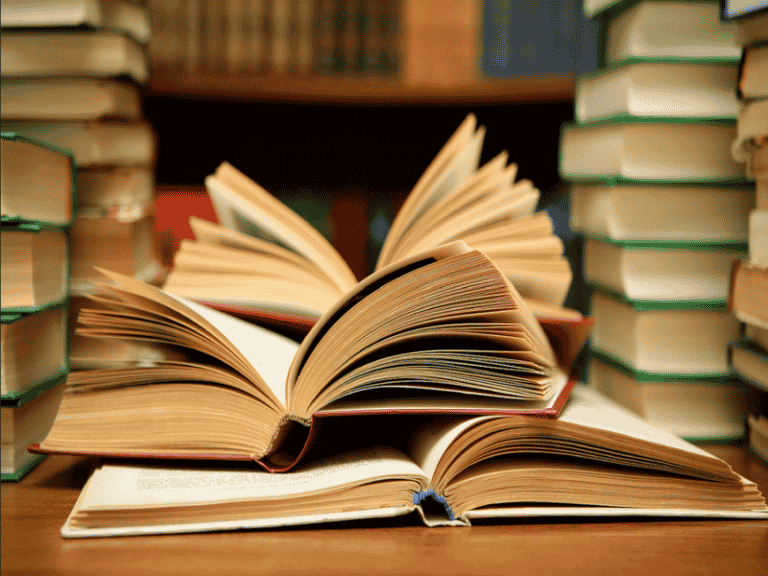Critical Review Of Literature On Computable General Equilibrium Models