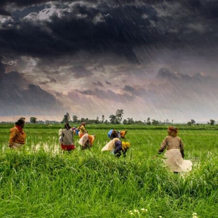 Transforming India’s Agriculture Sector for Achieving Global Competitiveness