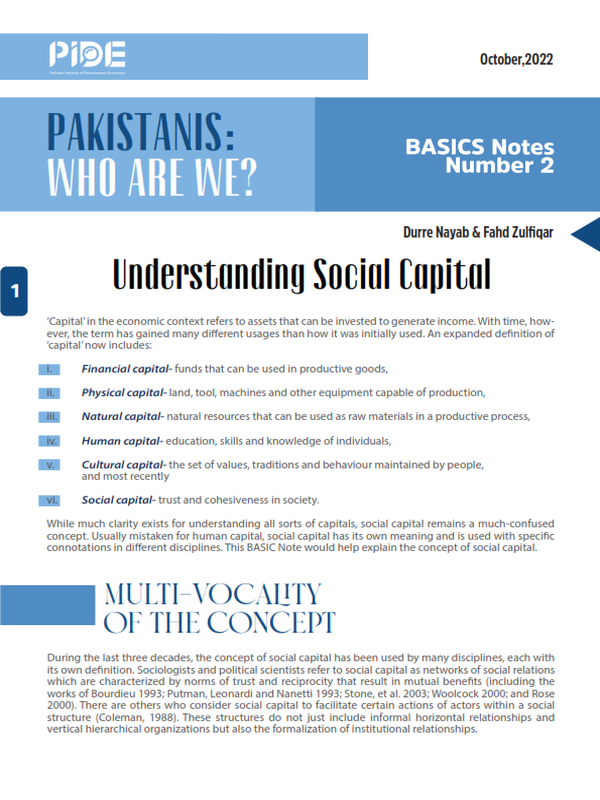 Understanding Social Capital