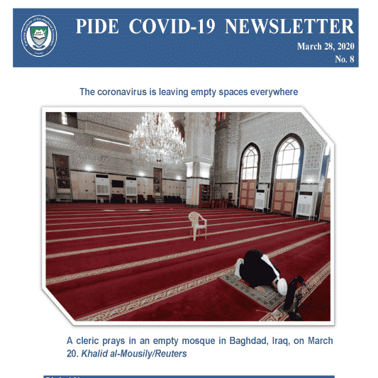 PIDE Newsletter 08