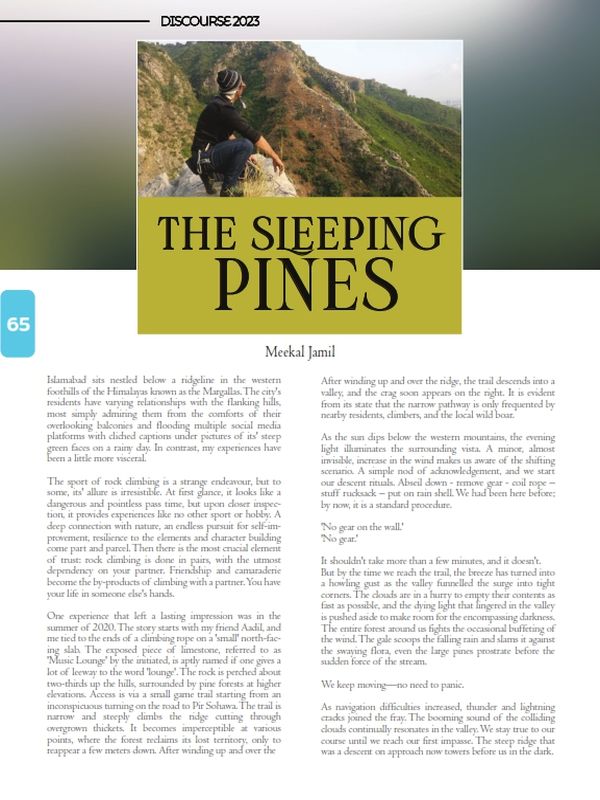 The Sleeping Pines