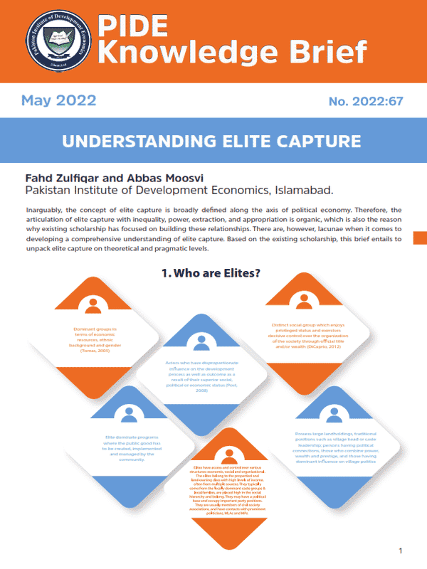 Understanding Elite Capture