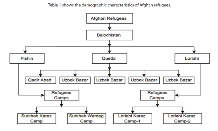 Table 1 shows the demographic characteristics of Afghan refugees.