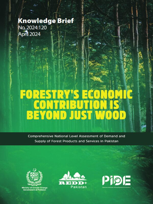 Forestry's Economic Contribution Is Beyond Just Wood Featured Image