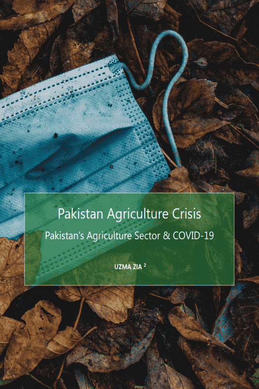 Pakistan Agriculture Crisis: Pakistan’s Agriculture Sector & COVID-19