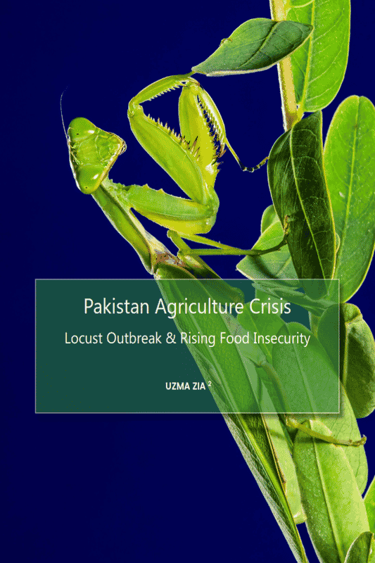 Pakistan Agriculture Crisis: Locust Outbreak & Rising Food Insecurity
