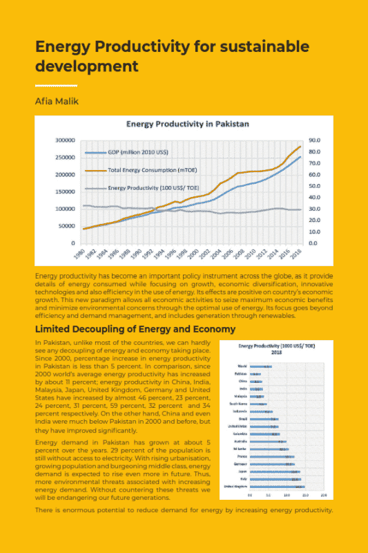 Energy Productivity for sustainable development