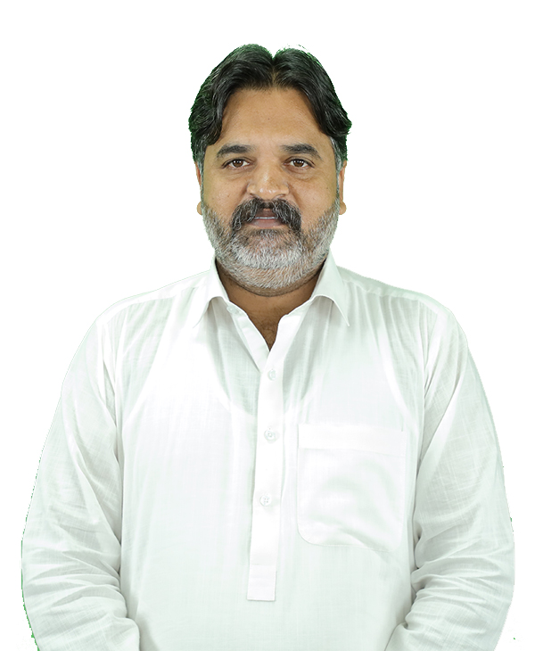 profile-muhammad-naveed