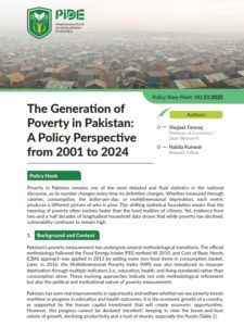 The Generation of Poverty in Pakistan: A Policy Perspective from 2001 ...