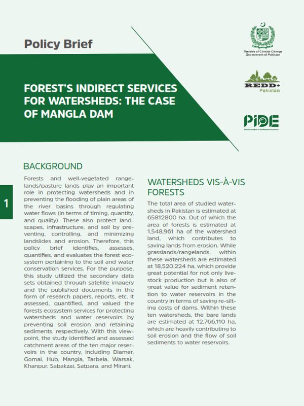 Forest's Indirect Services For Watersheds: The Case Of Mangla Dam Featured Image