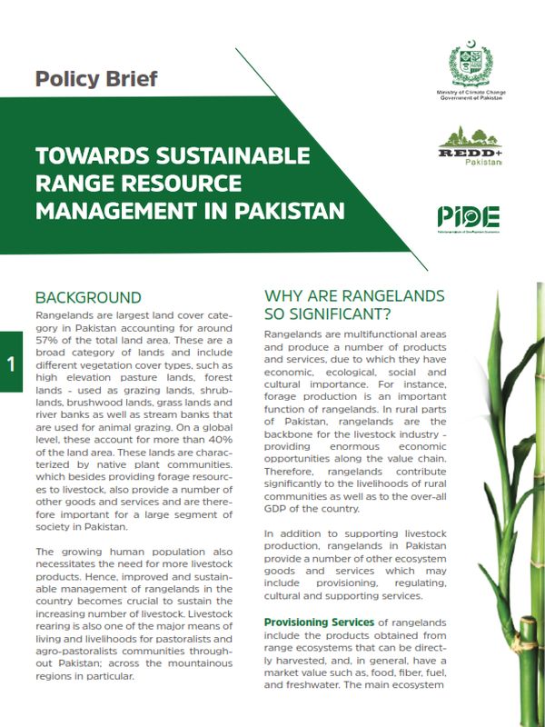 Towards Sustainable Range Resource Management In Pakistan Featured Image