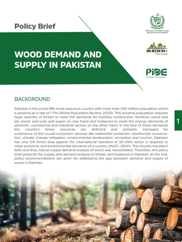 Wood Demand And Supply In Pakistan Featured Image