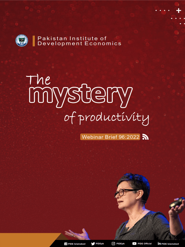 The Mystery of productivity