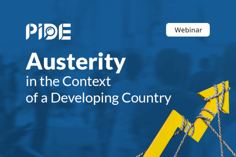 Austerity in the Context of a Developing Country