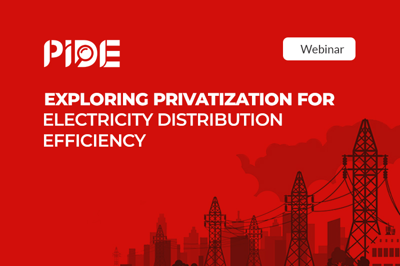 Exploring Privatization For Electricity Distribution Efficiency