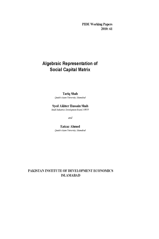 Algebraic Representation of Social Capital Matrix